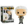 Pop! Icons: Albert Einstein