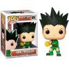Pop! Animation: Hunter x Hunter - Gon Freecs